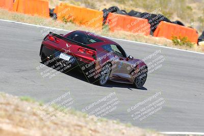 media/May-14-2023-Speed Ventures (Sun) [[8a95a37b3a]]/Purple/the bowl/